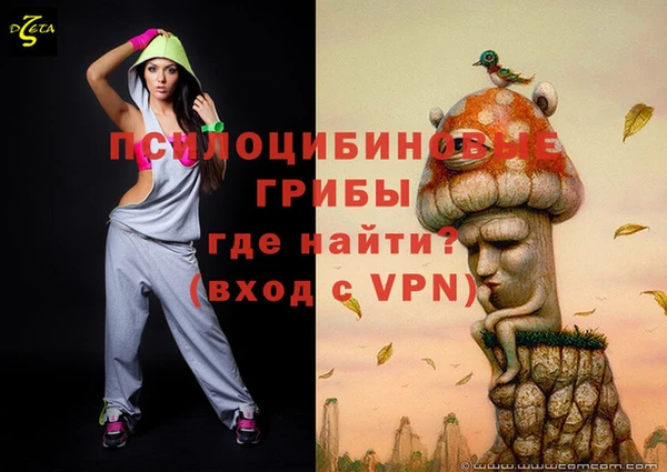 СК Абдулино