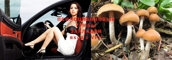 соль курить ск Нея