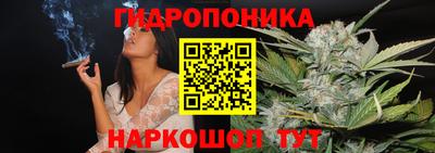 прущие грибы Туймазы