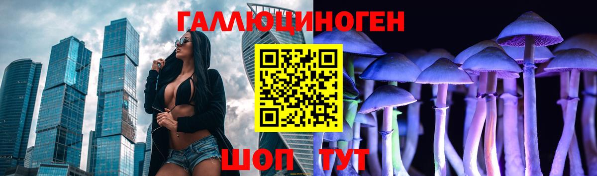 Псилоцибиновые грибы Psilocybe  Вход с VPN  Псков 